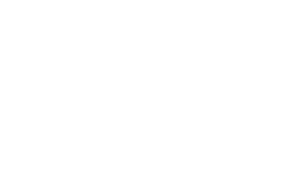 Fédération Internationale de l’Automobile (FIA)